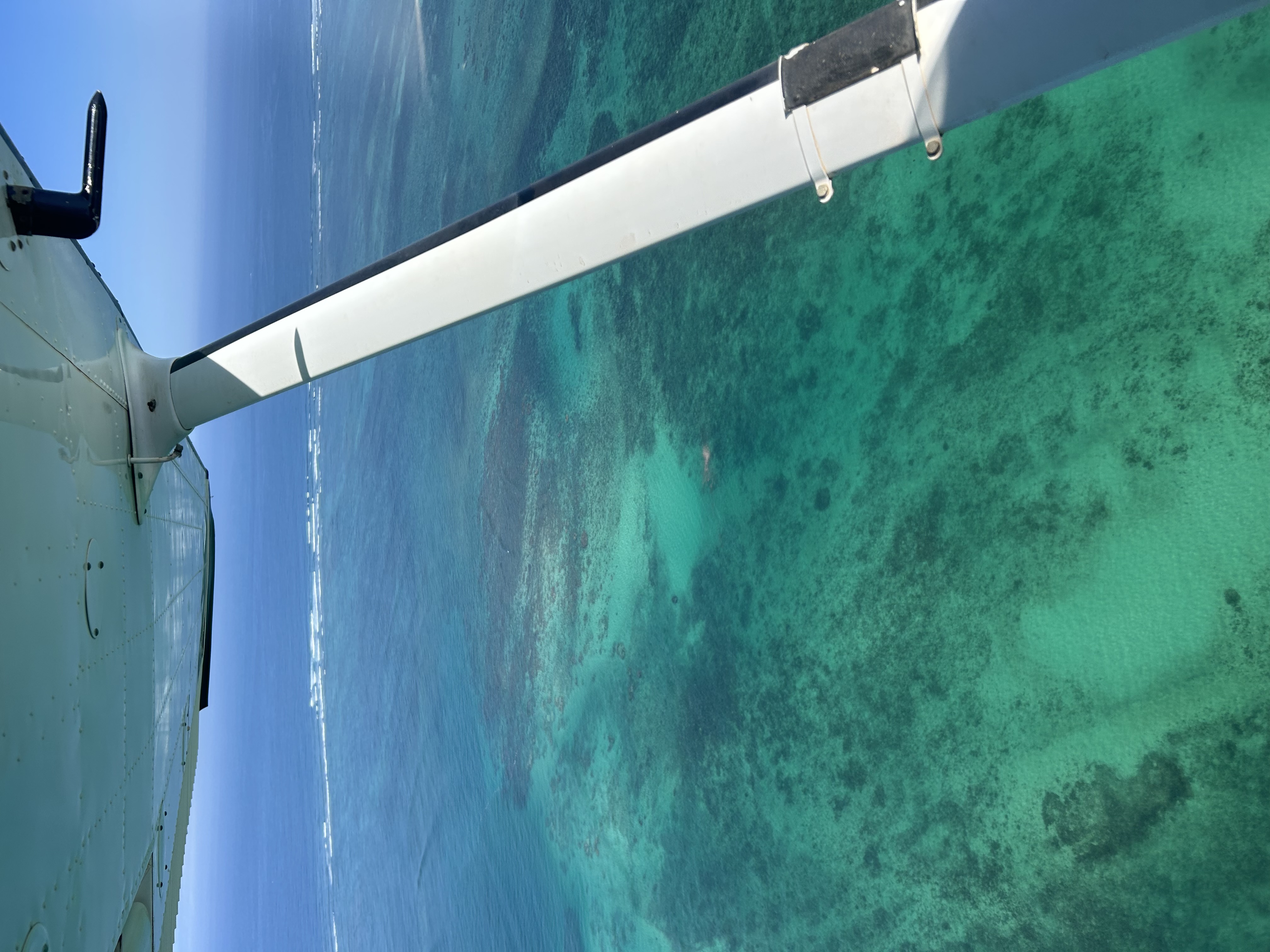 Wing over Ningaloo Reef